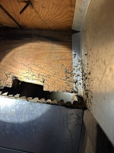 Close-up of severe mold growth and deteriorated wood/material at an HVAC duct or structural junction, clearly documenting a problem condition.